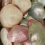 shells